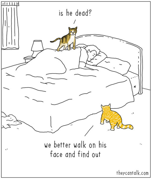 Hilarious Illustrations Depict What Animals Could Say If They Could 