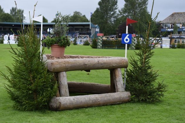 Fence-6_RIHS_PN17_71328-e1501169950446.jpg