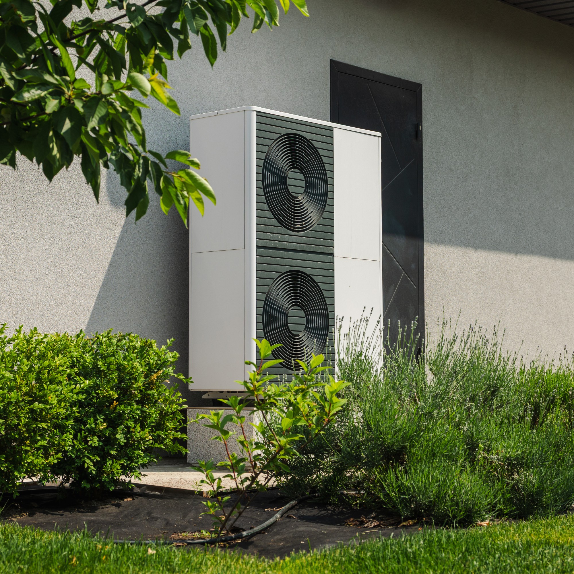 Heat pump installed on the outside of a rendered house, surrounded by greenery in the garden