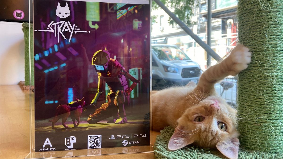 I played Stray in a cat cafe and it was purrfect