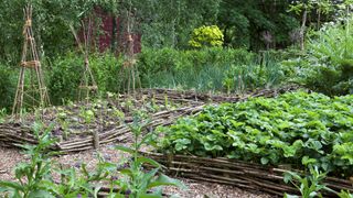 Woven willow raised garden bed