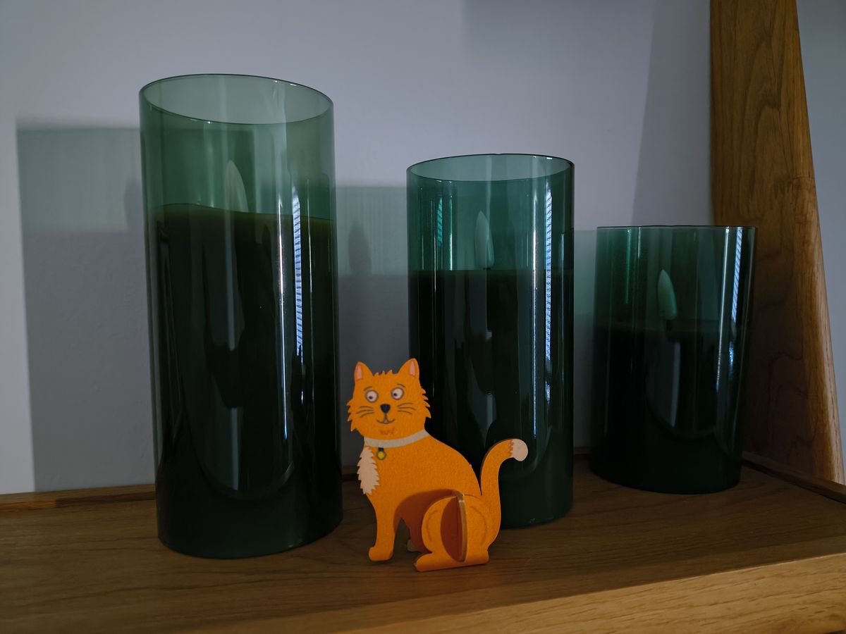 Photos of cats, gardens, and home interiors captured by the Motorola Razr 2026