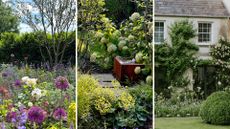 landscaped gardens highlighting key garden trends 2025