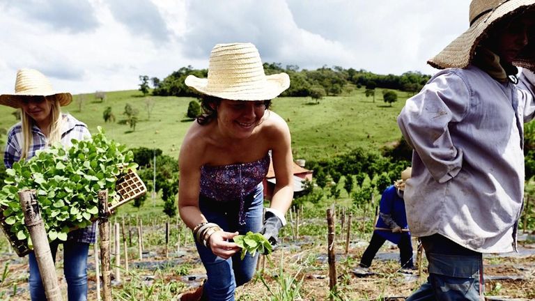 Hat, Jeans, Denim, Farm, Agriculture, People in nature, Sun hat, Soil, Fashion accessory, Headgear,