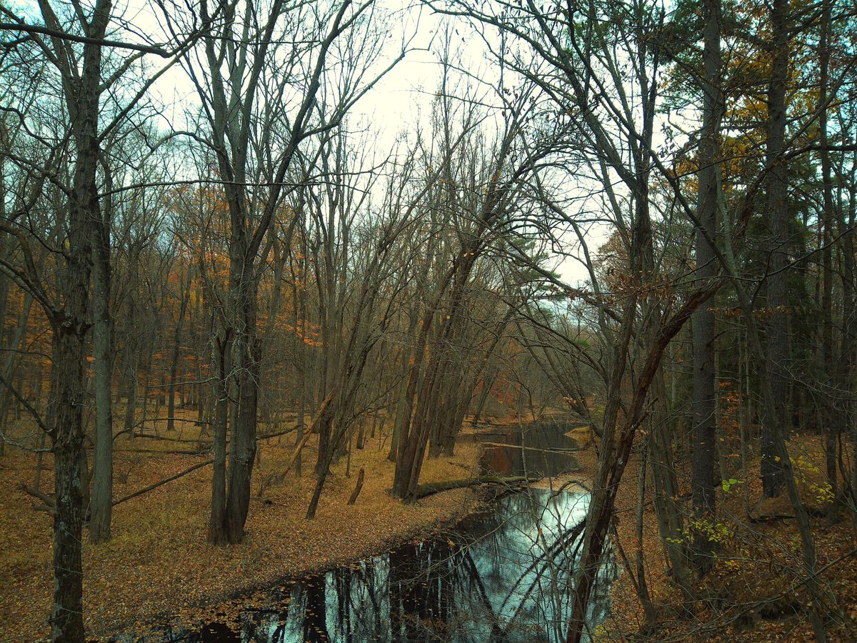 A sample image taken with the Camp Snap CS-Pro