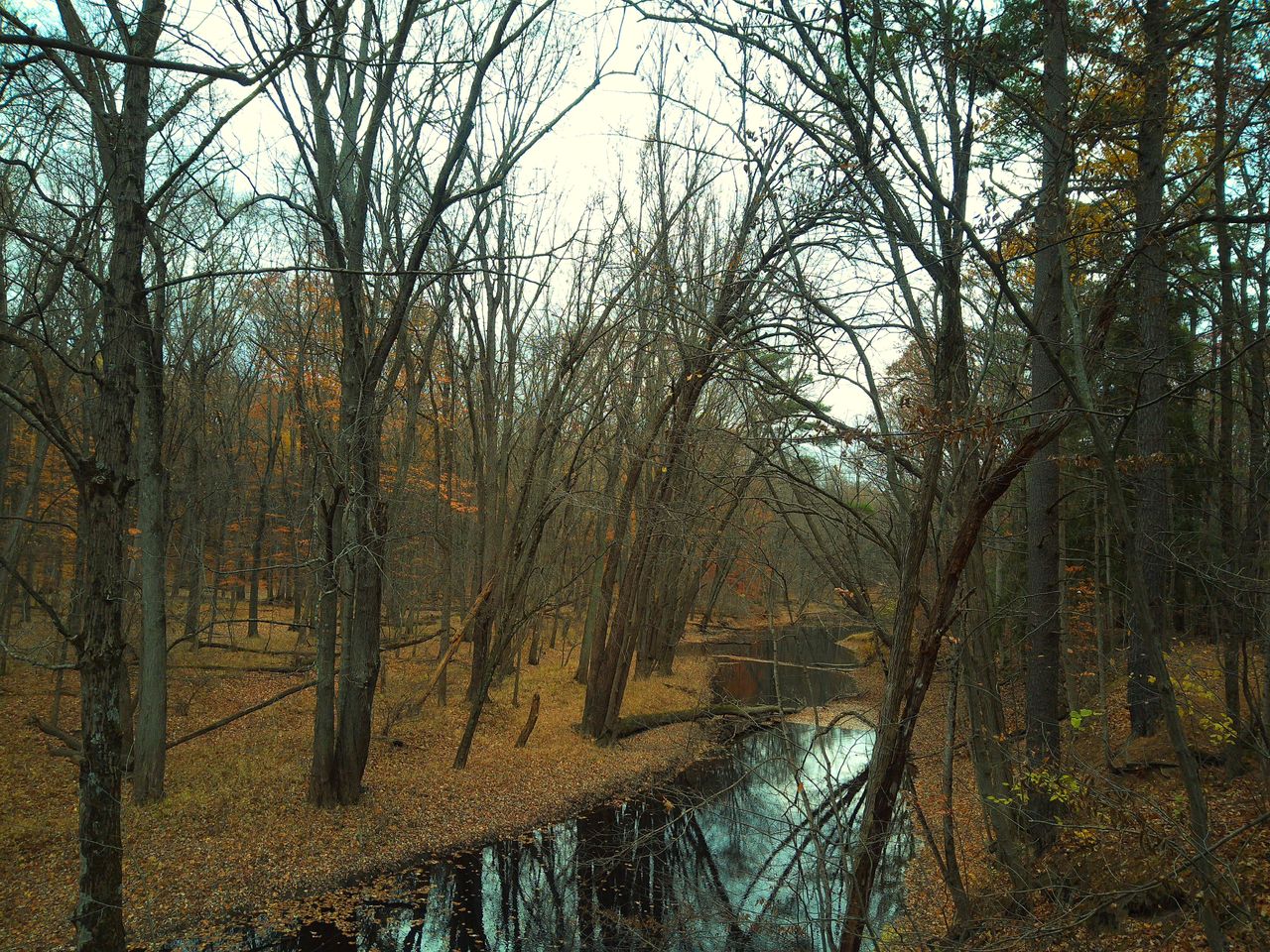 A sample image taken with the Camp Snap CS-Pro
