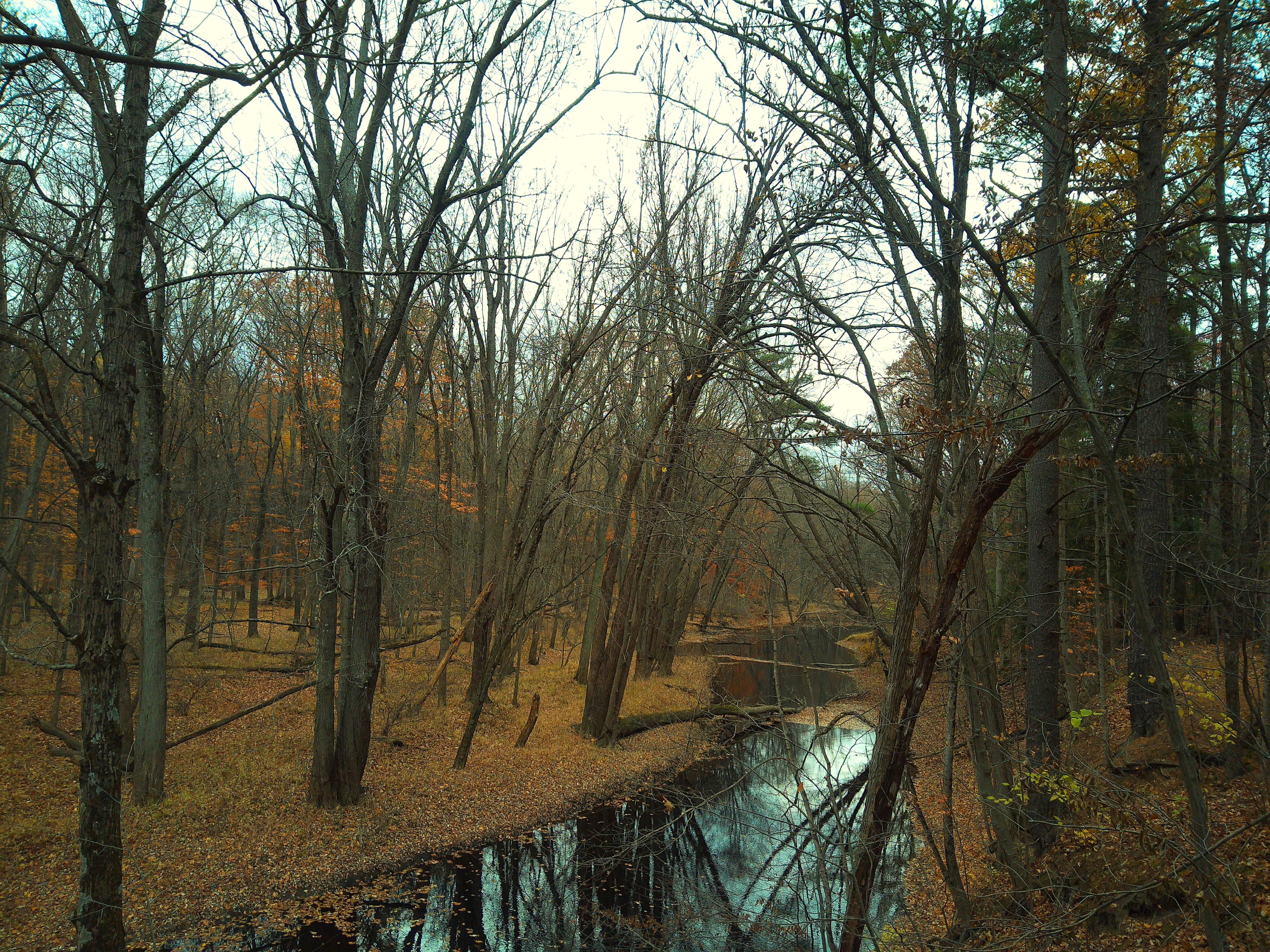 A sample image taken with the Camp Snap CS-Pro