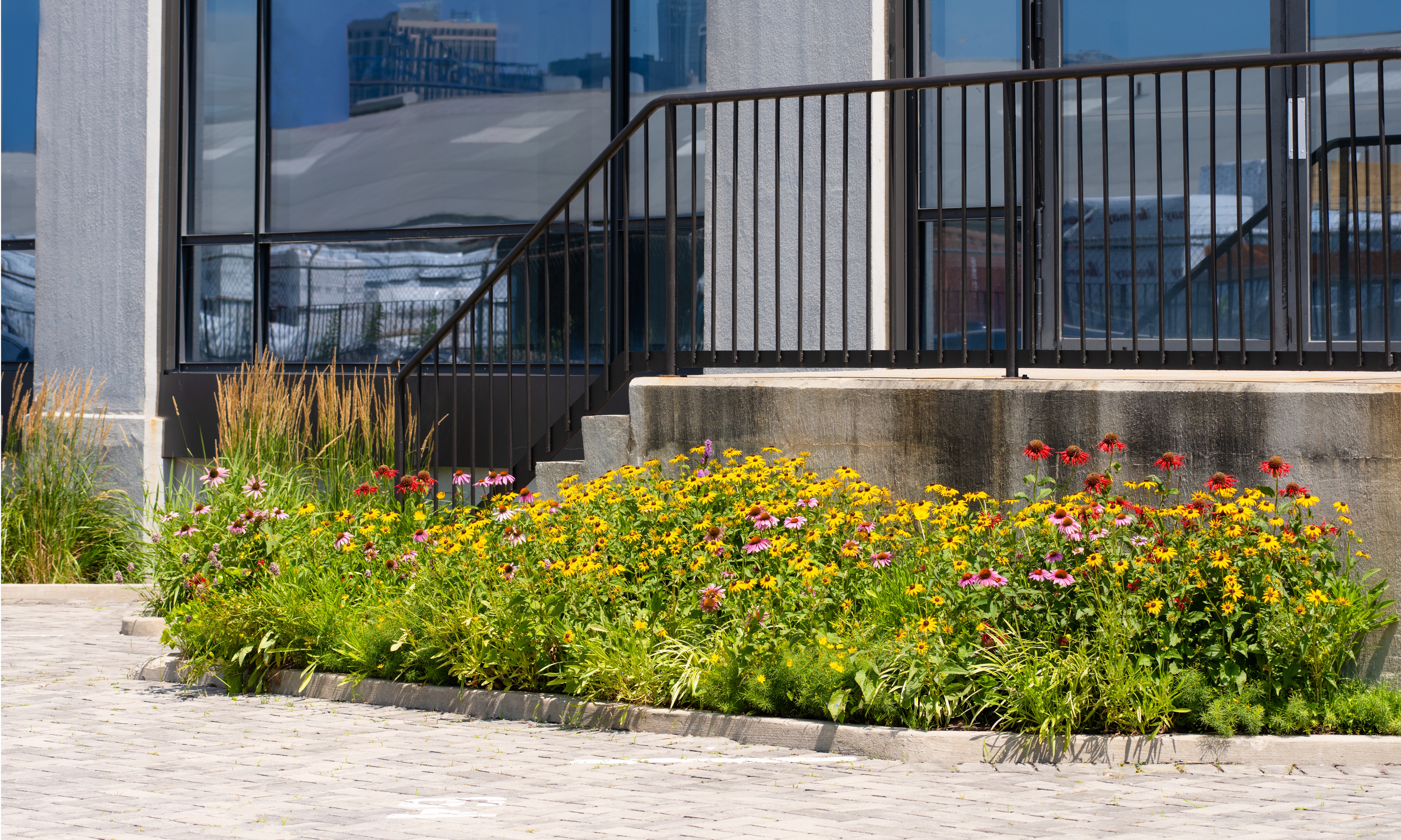 Laurie Blumenfeld's NYC community garden