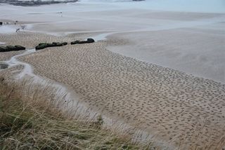 fallen soldiers sand art