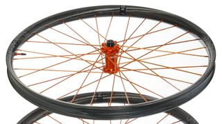 Details on the 310 wheelset in Orange