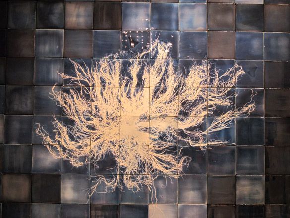 Flowers and weeds were arranged onto ceramics and exposed to UV light which after a while reveal the ’ghostly white shadow’.