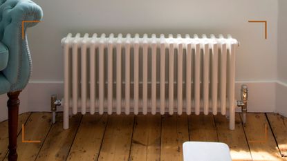 Cast iron radiator in living room to support an expert guide on how to clean radiators