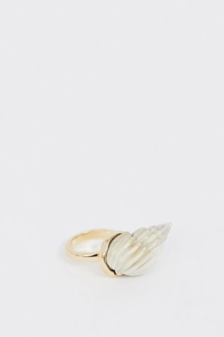 shell jewellery