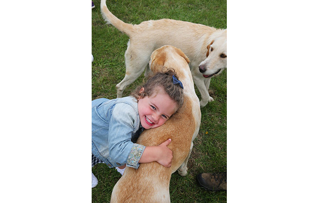 Game Fair 7
