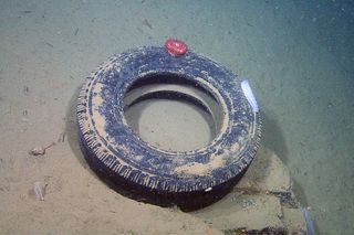 A discarded tire sits on a ledge 2,850 feet (868 m) below the ocean surface in Monterey Canyon off the central California coast.