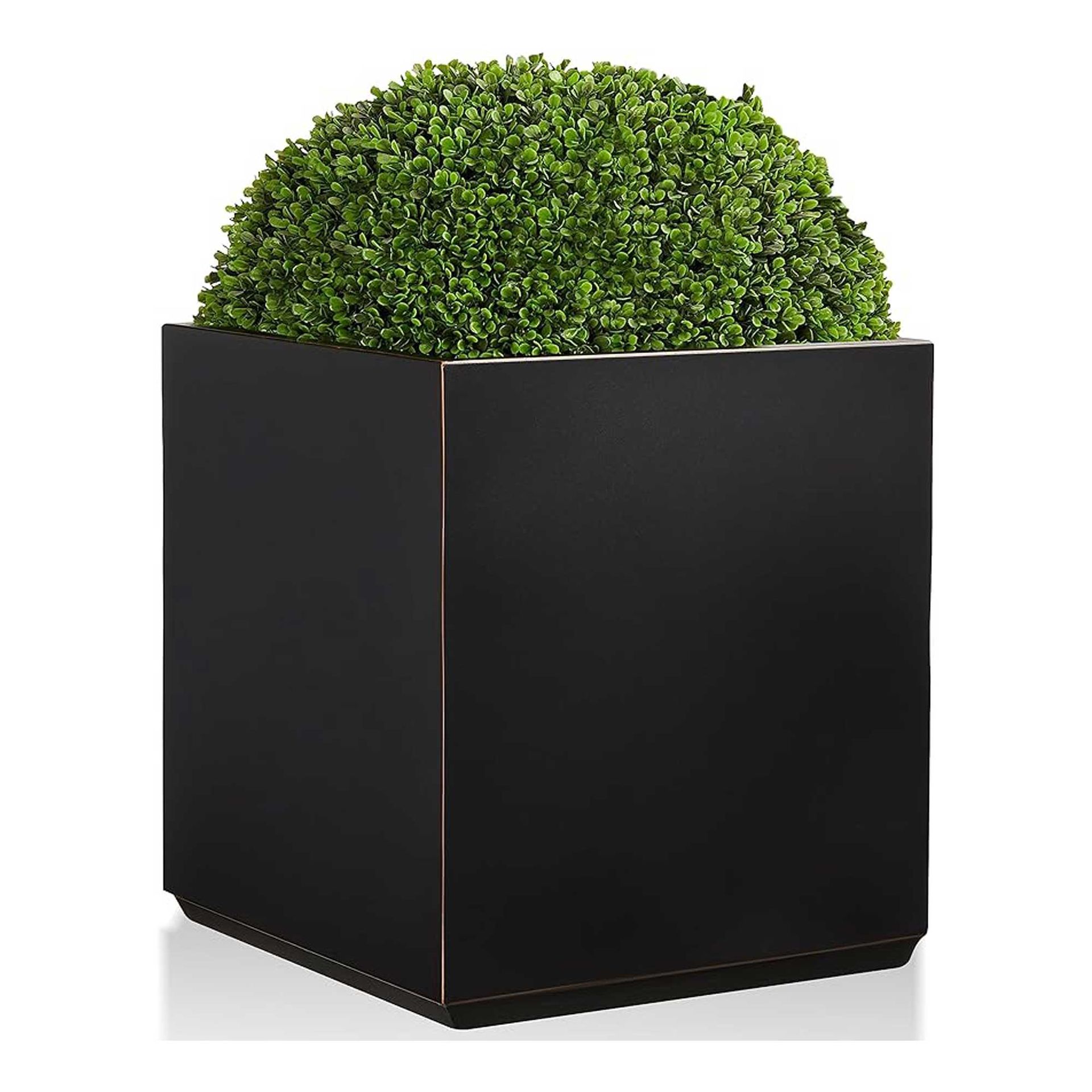 10 best trees to grow in pots — for patios and porches | Real Homes