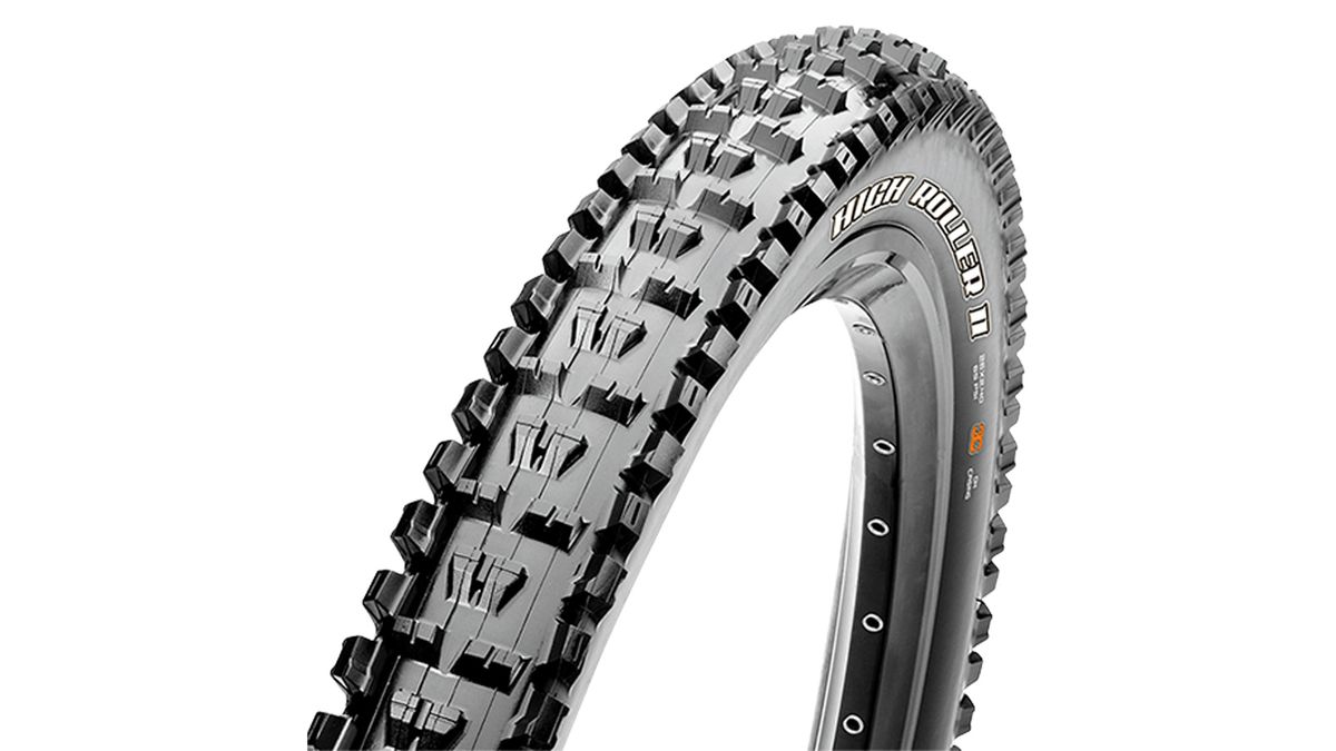 Maxxis MTB tire guide 2024 a deep dive into every Maxxis mountain