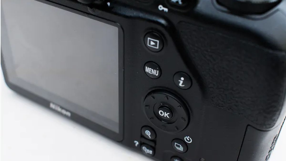 Review photo of the Nikon D3500