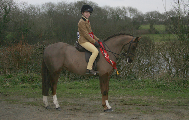 BSPS WALES WORKING HUNTER SHOWMoor Farm EC, Haverfordwest 12 February