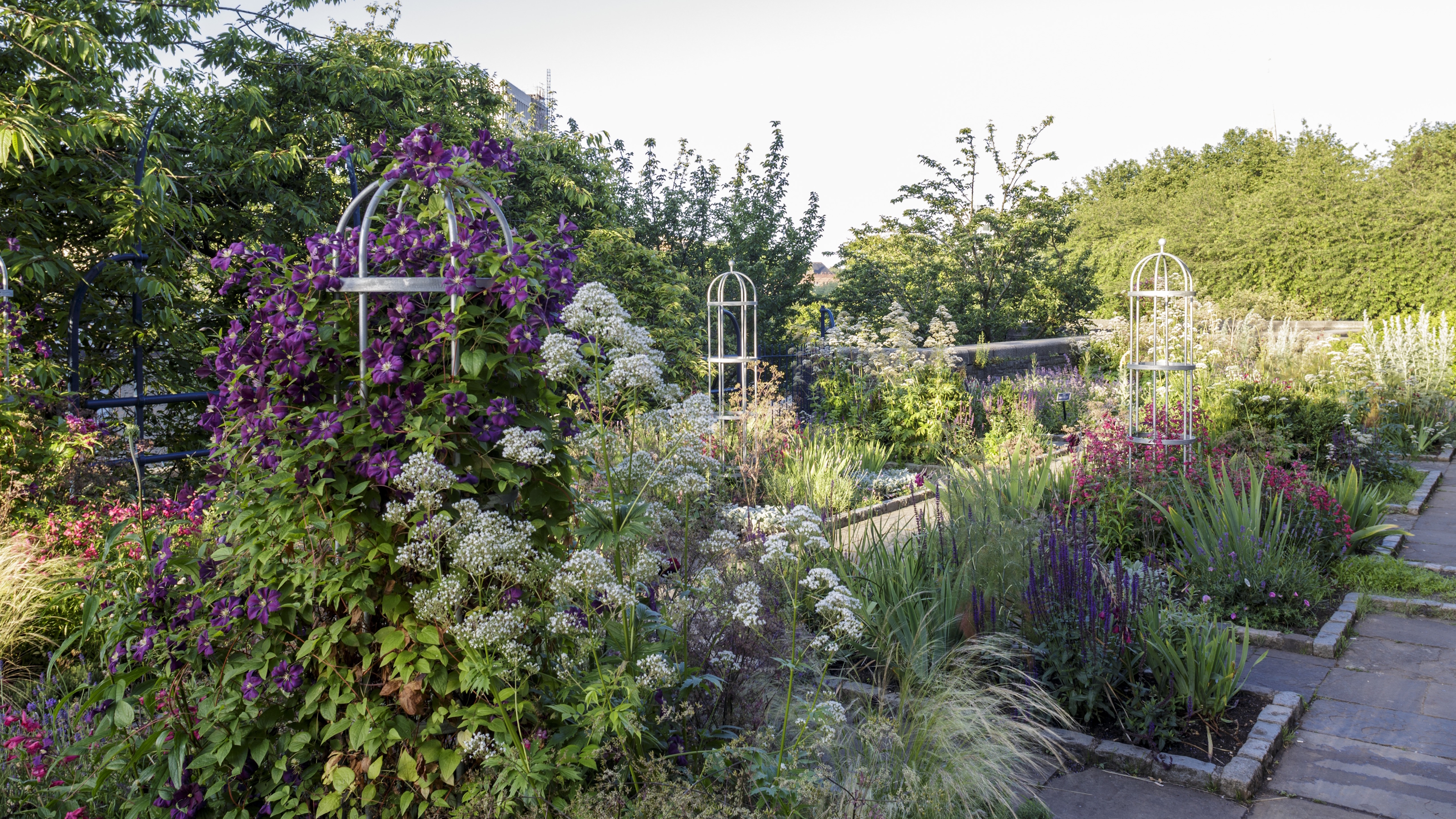 A sensory garden full of shrubs, climbers, and flowering perennials in raised beds