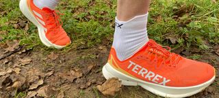 Trail runner wearing Adidas Terrex Heat.Rdy Trail Running Speed Ankle Socks and Adidas Terrex trail running shoes on muddy path