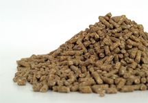 feed-nuts.jpg