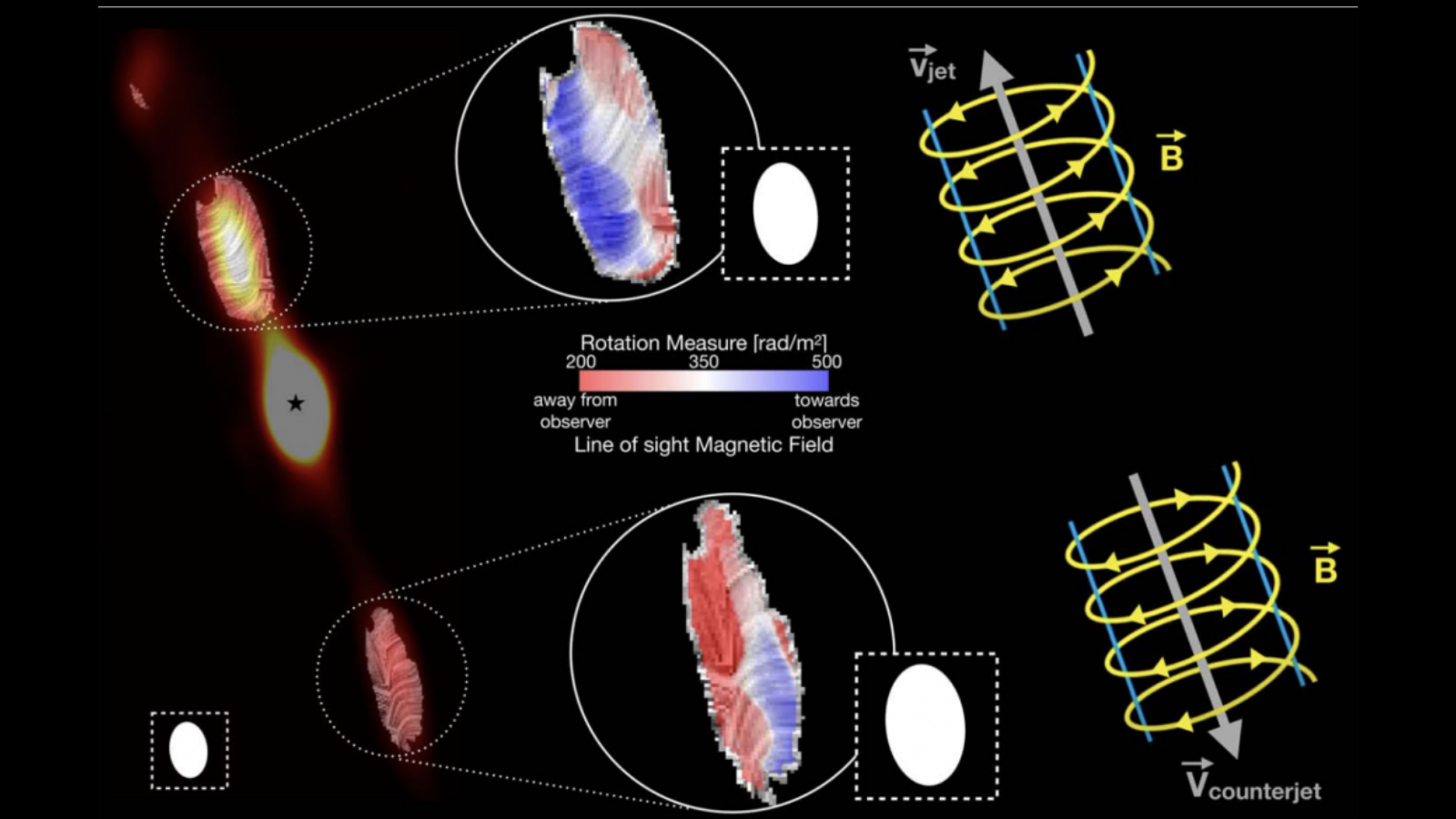 Two orange tubes next to larger red, white and blue images of them same shape