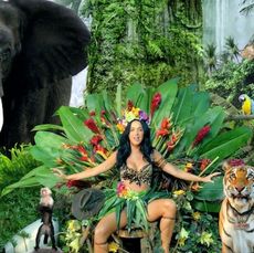 Elephants and Mammoths, Elephant, African elephant, Terrestrial plant, Bengal tiger, Garden, Abdomen, Tusk, Carnival, Indian elephant,