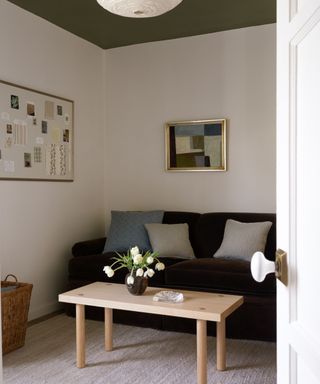 home office with white walls, olive green ceiling and dark brown sofa