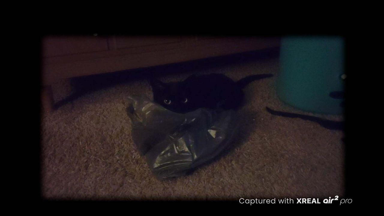 XREAL Beam Pro dim light cat video.