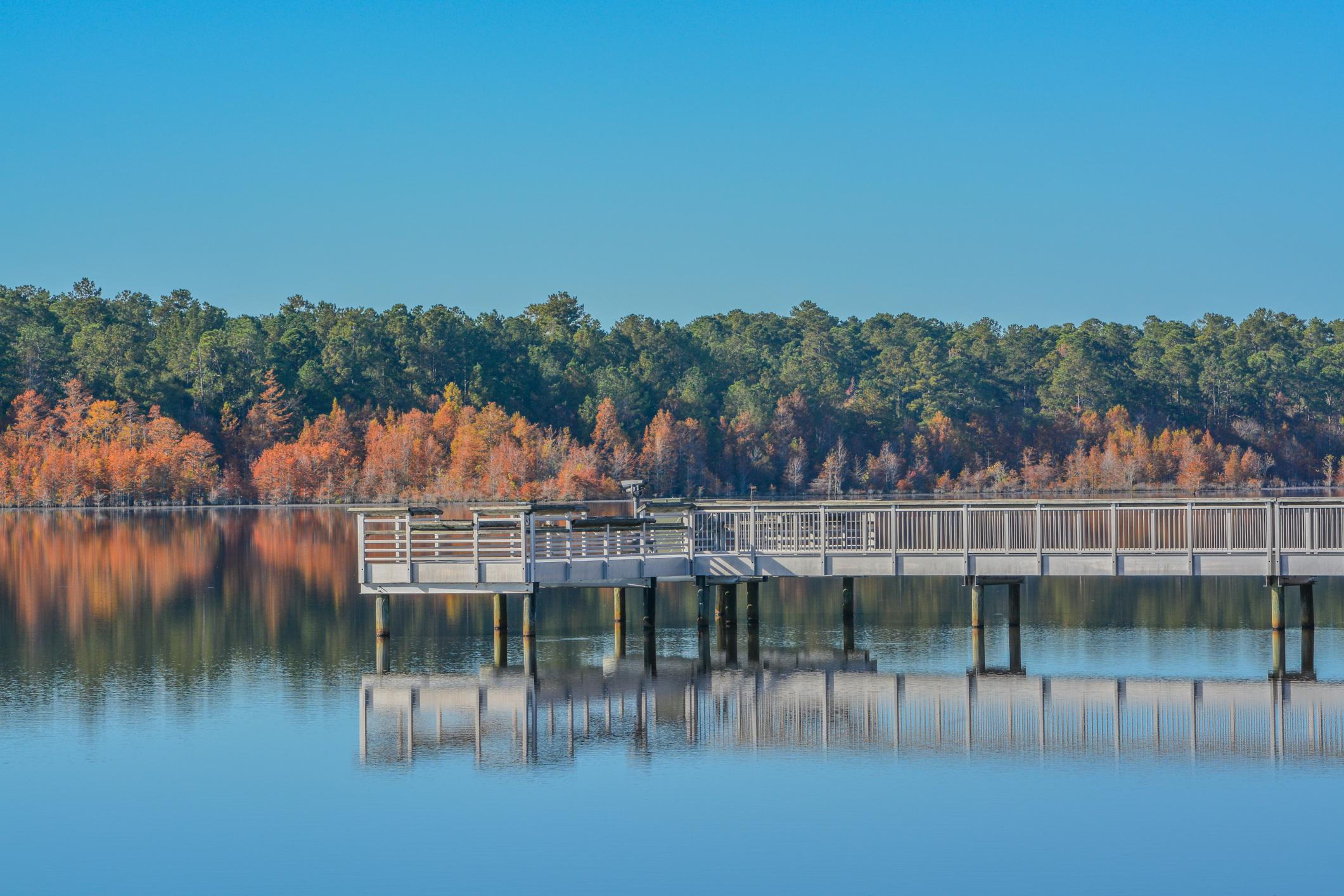A reflection of the fishing pier and Fall leaf colors on the Little Ocmulgee River in Georgia