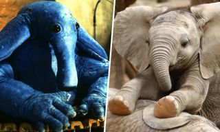 An Ortolan from Star Wars and an elephant.