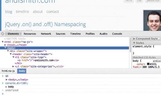You can open a console in any panel
