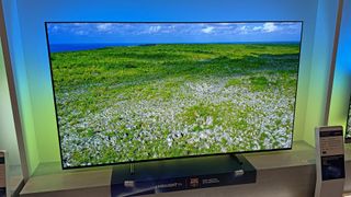 The Philips OLED+950 OLED TV showing a field with flowers