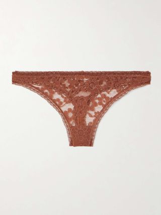 Marguerite Prairie Stretch-Corded Lace Briefs