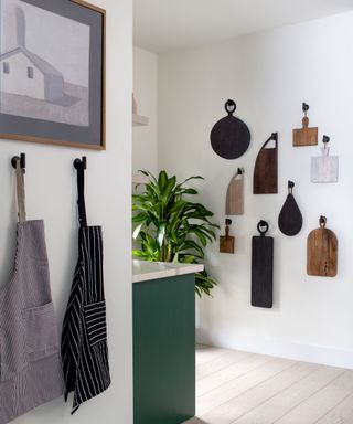 chopping boards wall decor in a contemporary light green kitchen