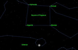 The planet Uranus reaches opposition in Pisces on Saturday, Sept. 29, 2012, and will be visible all night.