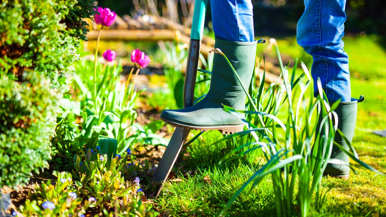 Woman digging in the spring garden