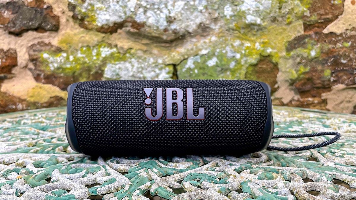 JBL Portable Speaker : Buy JBL Flip 6 Wireless Portable Bluetooth