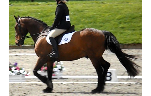 Tom after
