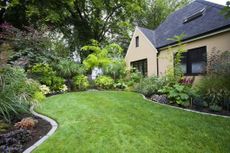 Green lush lawn in newly landscaped garden