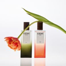 Loewe Elixirs