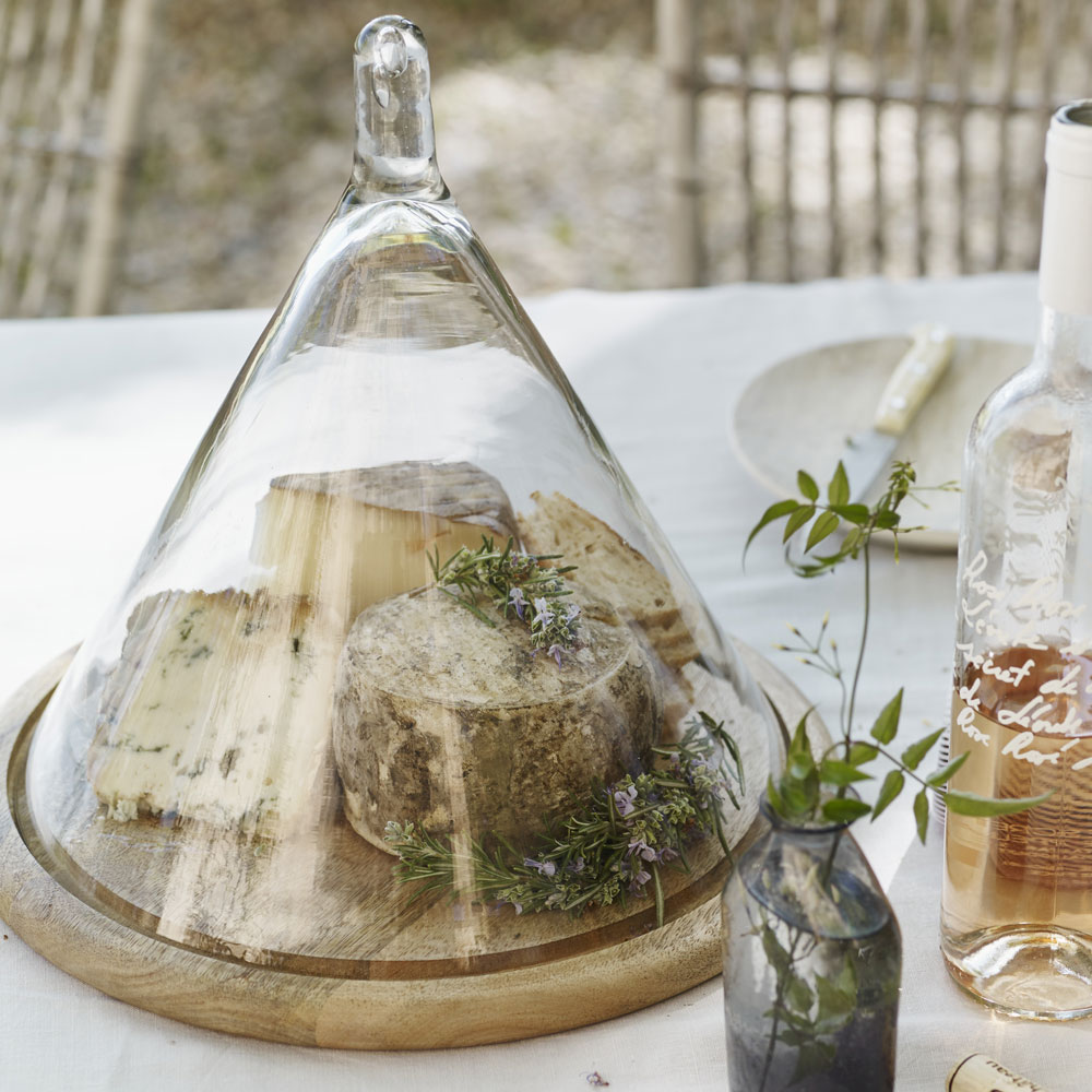 cheese dairy freezer plant in vase and plate with knife