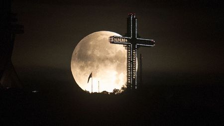 Amazing photos of the Super Flower