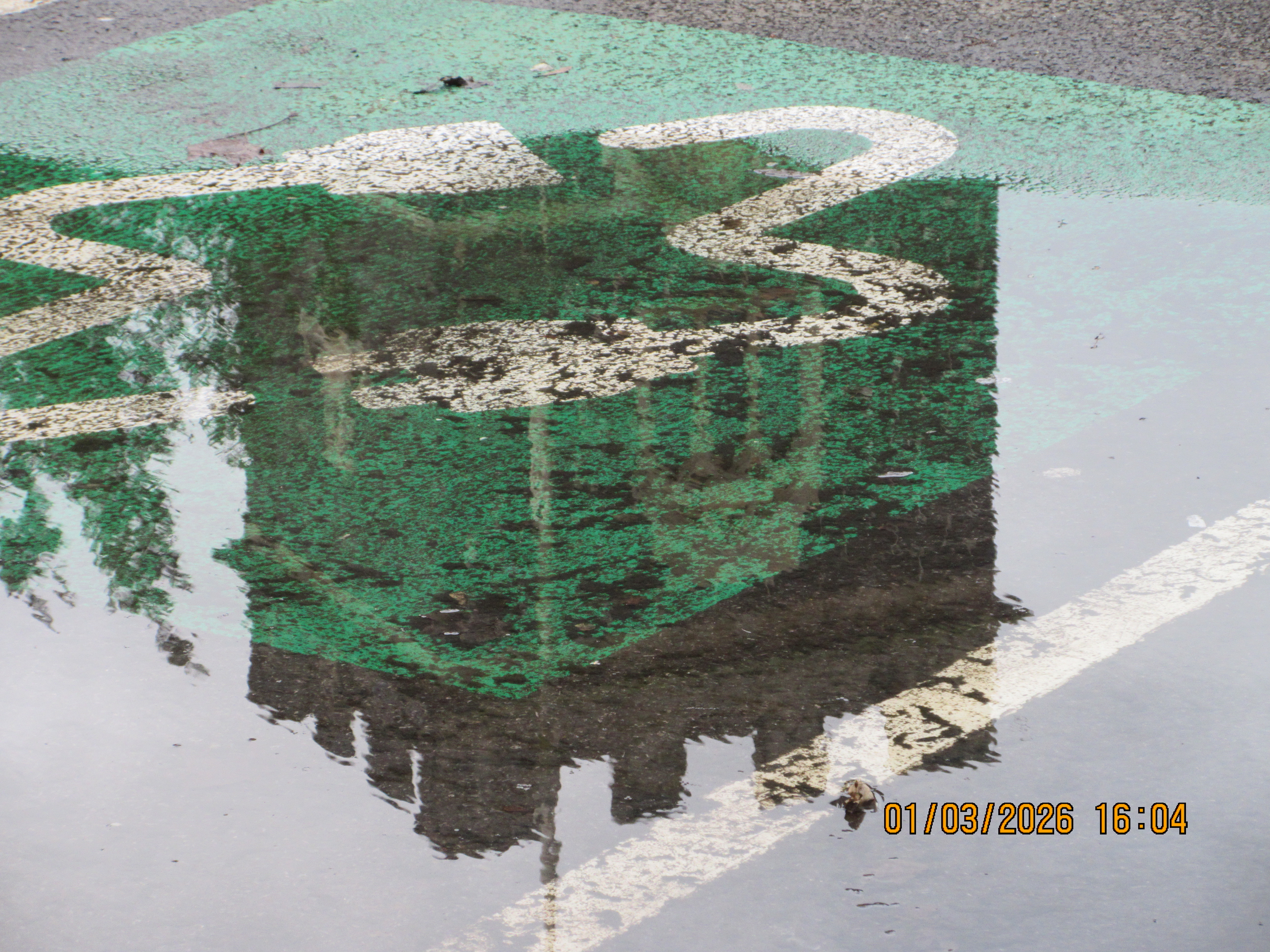 A photo taken on a Canon PowerShot Elph 360 HS A / IXUS 285 HS A compact camera