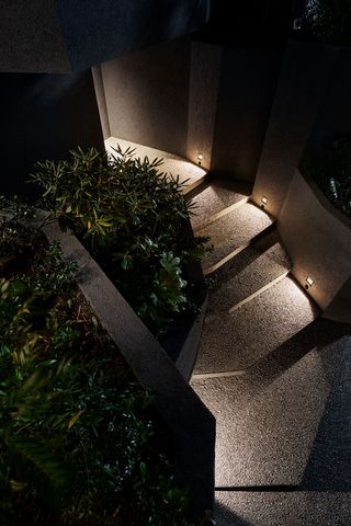 Stairs with light and plant
