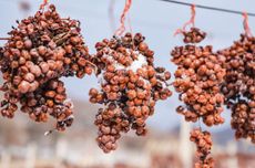 Golden-Icewine-Valley-Vidal-grape.jpg