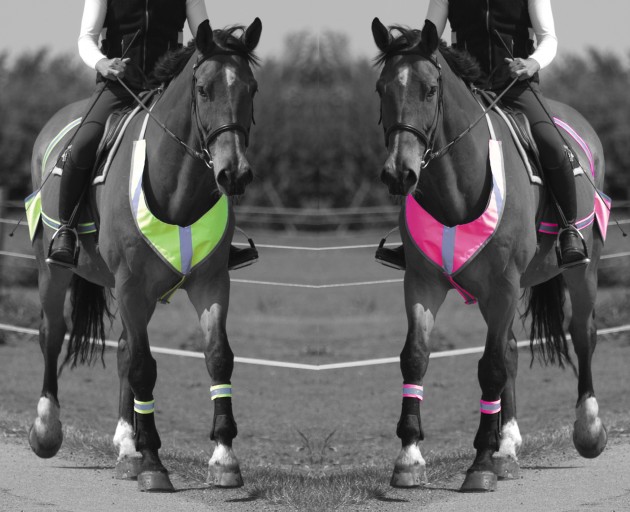 10.Equetech Vision Deluxe BOTH