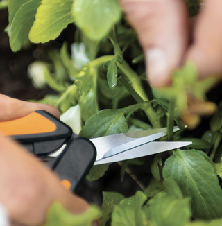 Micro-Tip® Pruning Snips from The Sill
