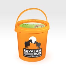 Bucket_EqvalanDuo_Web_Res.jpg